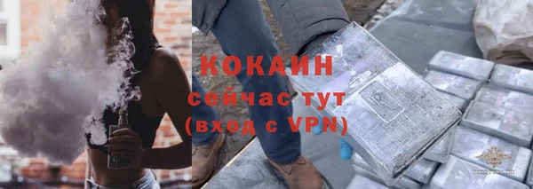 spice Аркадак