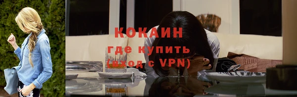 стафф Сосновый Бор