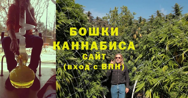 spice Аркадак
