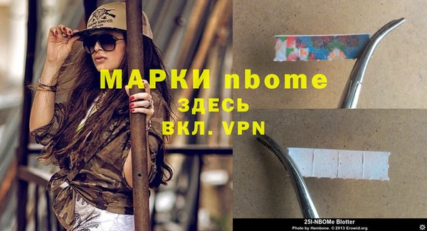 spice Аркадак