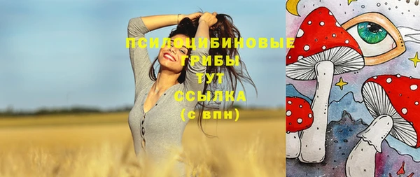 стафф Сосновый Бор