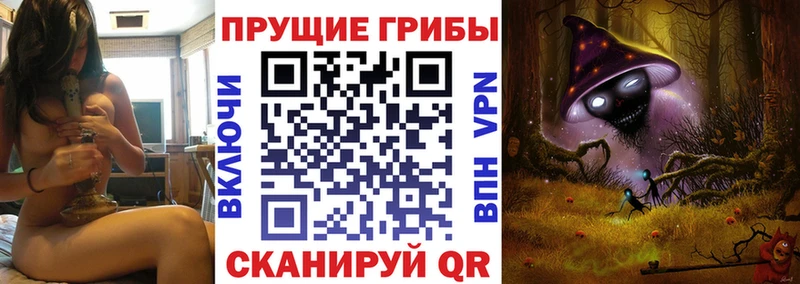 где можно купить наркотик  Пошехонье  кракен сайт  Псилоцибиновые грибы мухоморы 